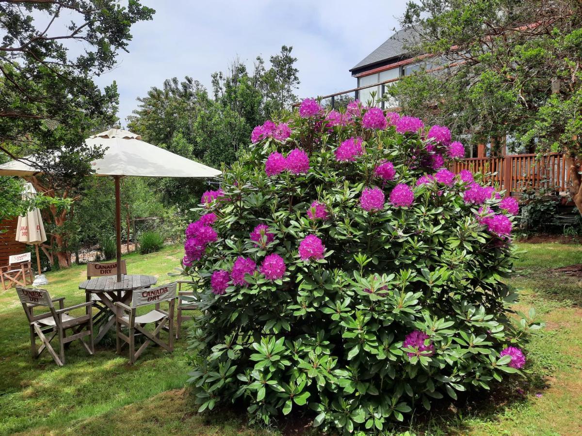 Hostel Torobayo Valdivia Εξωτερικό φωτογραφία